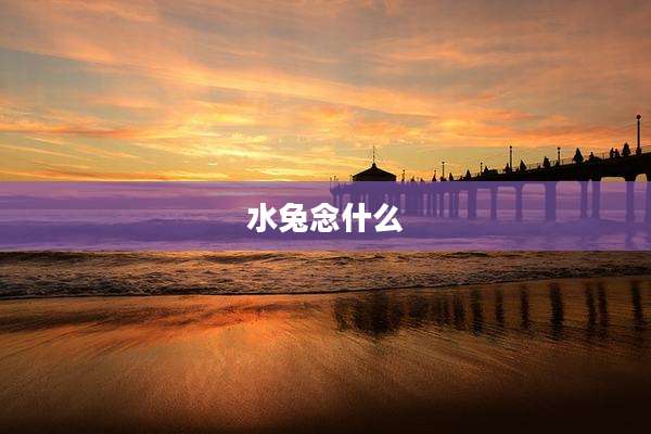 水兔念什么