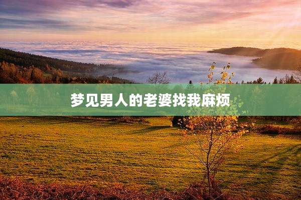 梦见男人的老婆找我麻烦