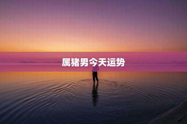 属猪男今天运势