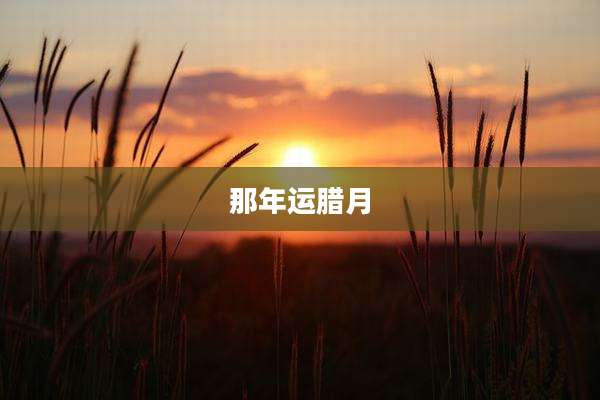那年运腊月