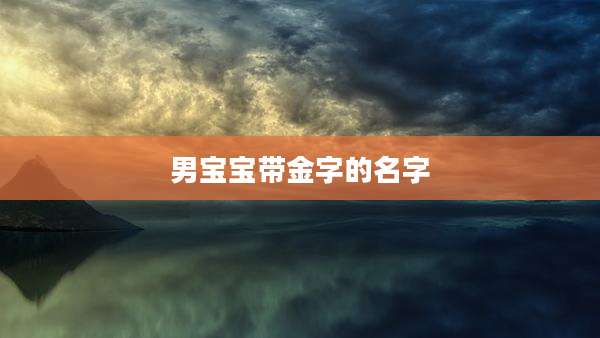 男宝宝带金字的名字