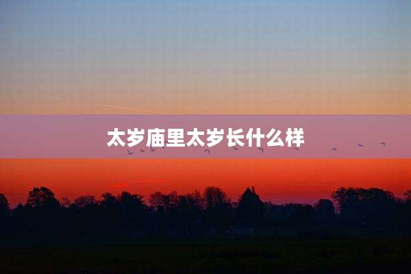 太岁庙里太岁长什么样