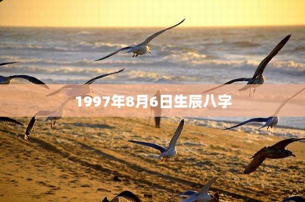 1997年8月6日生辰八字
