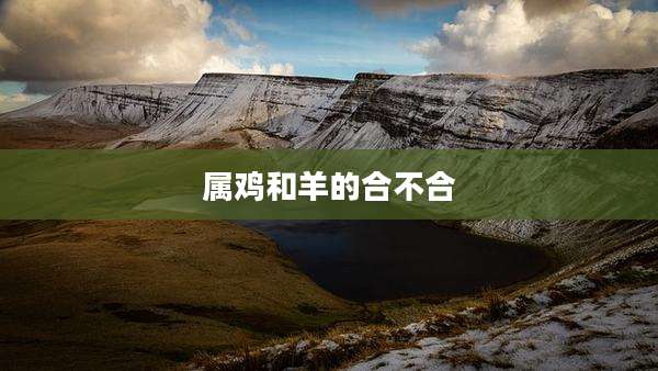 属鸡和羊的合不合