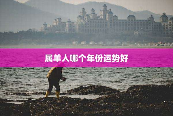 属羊人哪个年份运势好