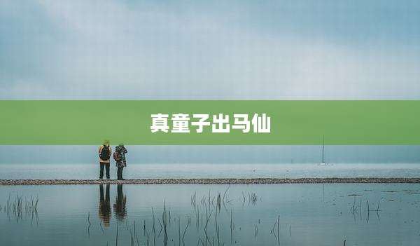 真童子出马仙