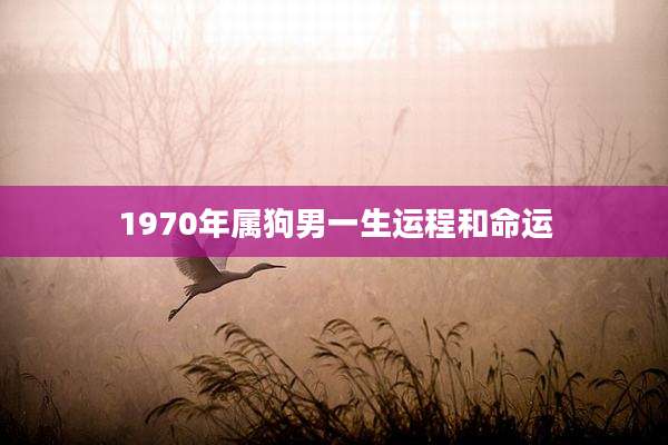 1970年属狗男一生运程和命运