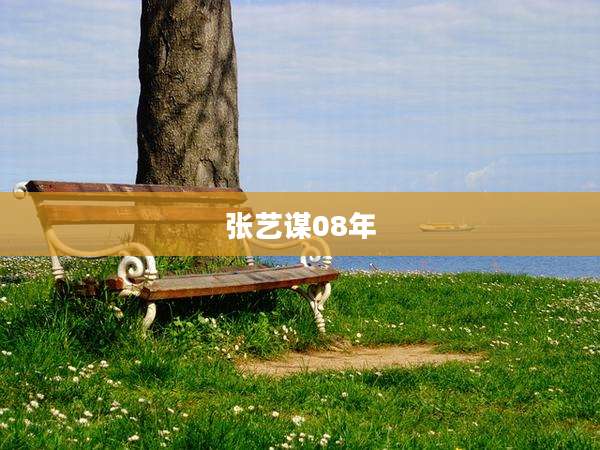 张艺谋08年