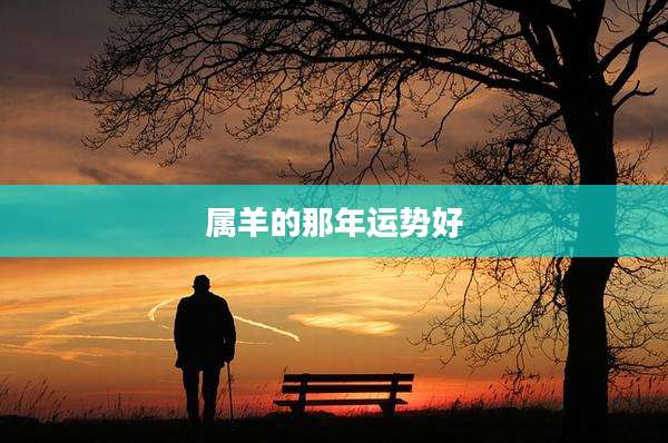 属羊的那年运势好