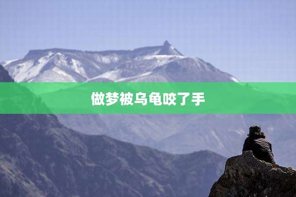 做梦被乌龟咬了手