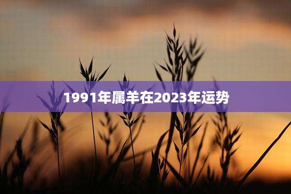 1991年属羊在2023年运势