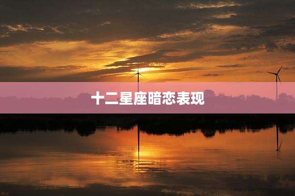 十二星座暗恋表现