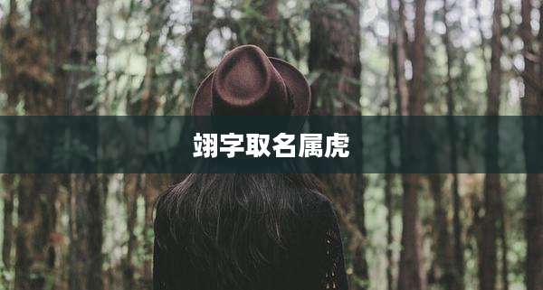翊字取名属虎
