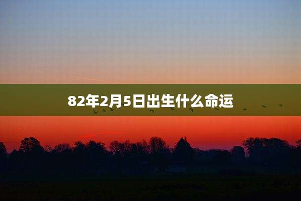 82年2月5日出生什么命运