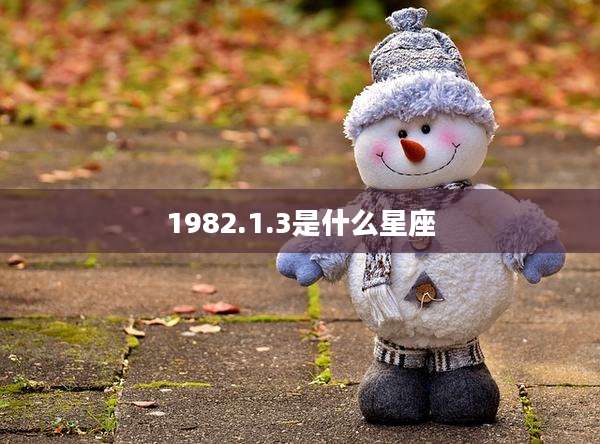 1982.1.3是什么星座