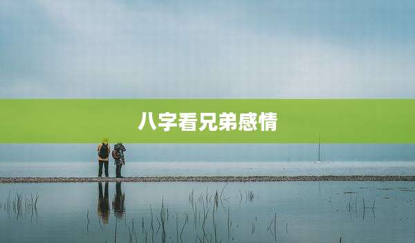 八字看兄弟感情