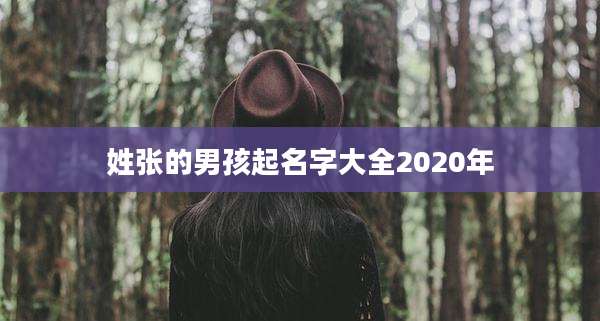 姓张的男孩起名字大全2020年