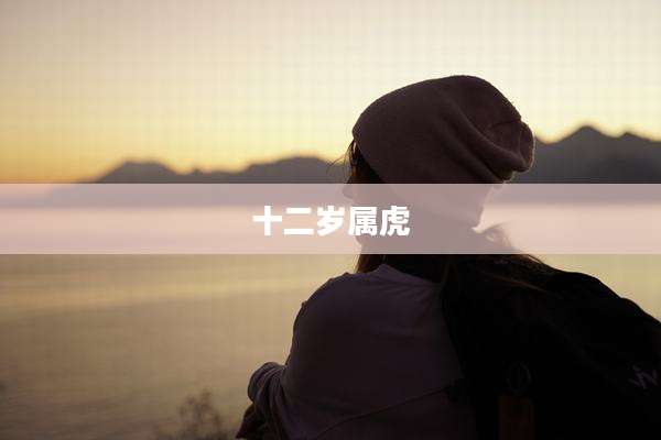 十二岁属虎