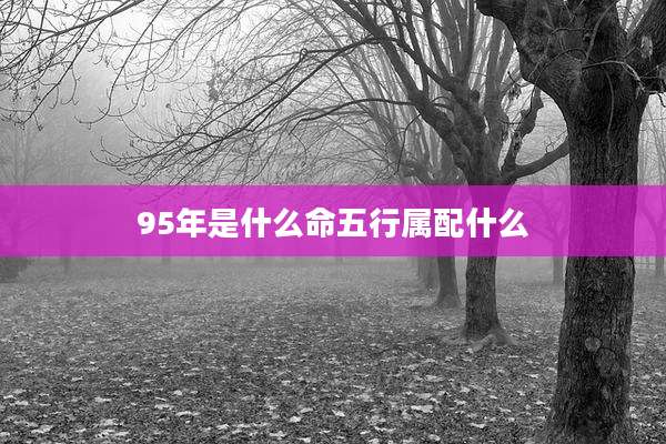 95年是什么命五行属配什么