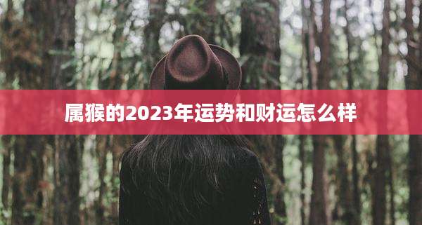 属猴的2023年运势和财运怎么样