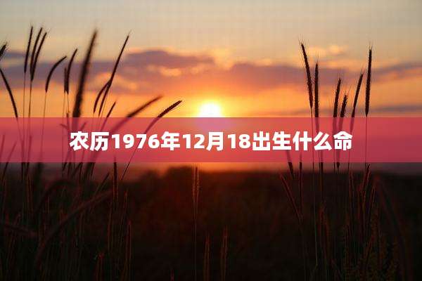 农历1976年12月18出生什么命