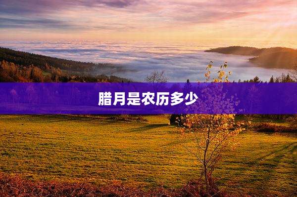 腊月是农历多少