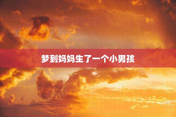 梦到妈妈生了一个小男孩