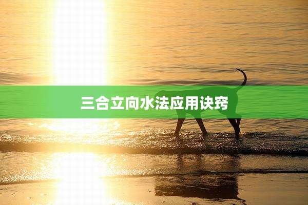 三合立向水法应用诀窍