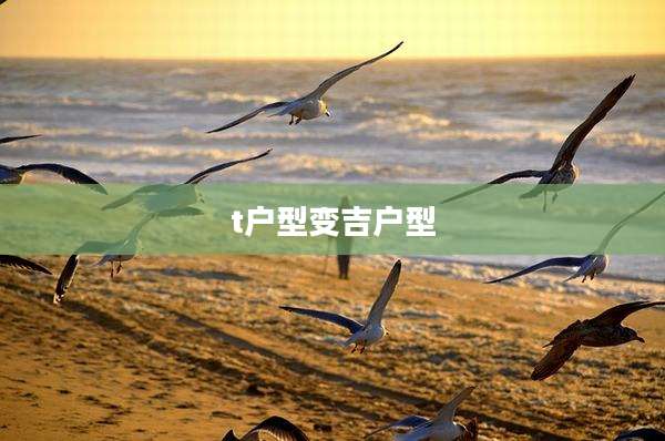 t户型变吉户型
