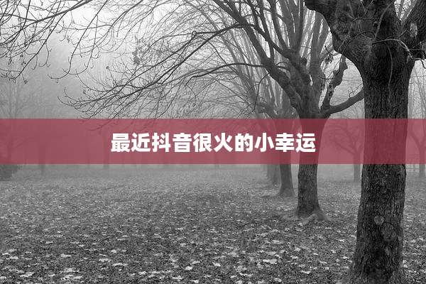 最近抖音很火的小幸运
