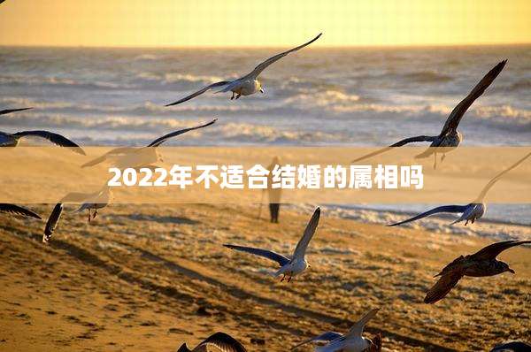 2022年不适合结婚的属相吗