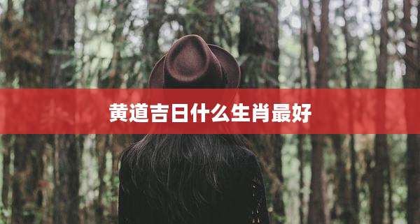 黄道吉日什么生肖最好