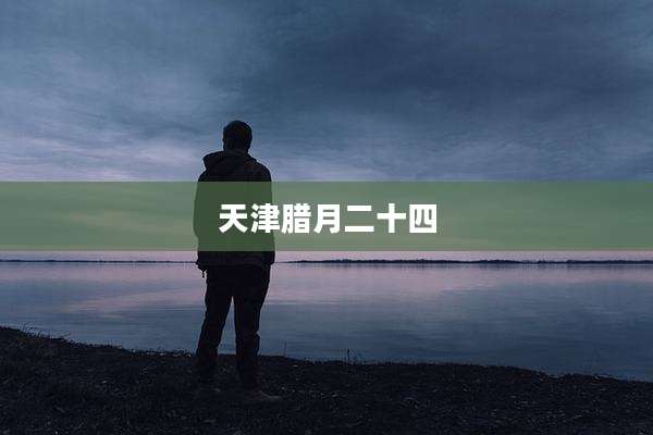天津腊月二十四