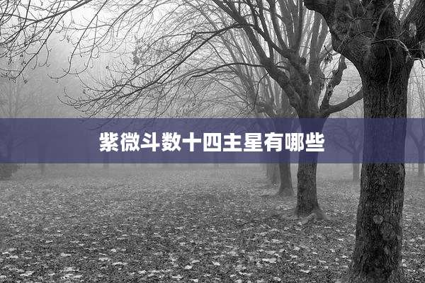 紫微斗数十四主星有哪些