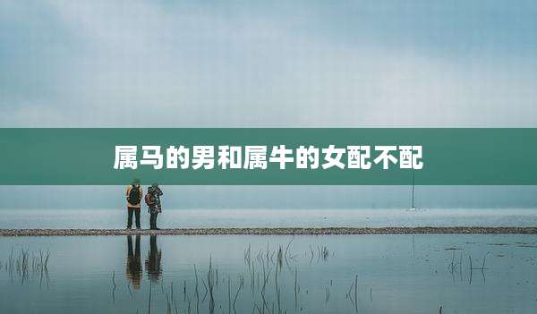 属马的男和属牛的女配不配