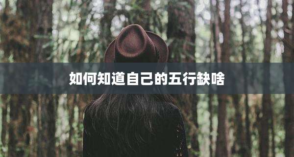 如何知道自己的五行缺啥