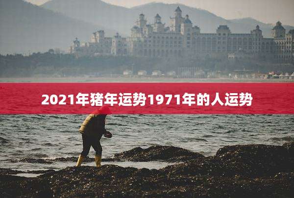2021年猪年运势1971年的人运势