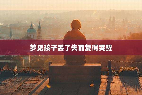 梦见孩子丢了失而复得哭醒