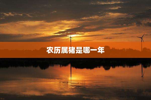 农历属猪是哪一年