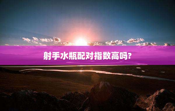 射手水瓶配对指数高吗?