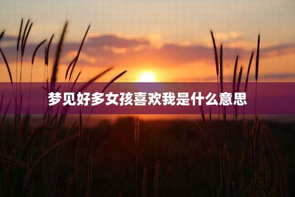 梦见好多女孩喜欢我是什么意思