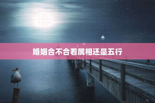 婚姻合不合看属相还是五行