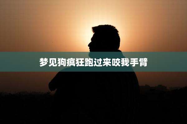 梦见狗疯狂跑过来咬我手臂