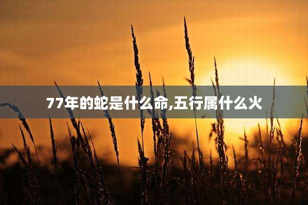 77年的蛇是什么命,五行属什么火