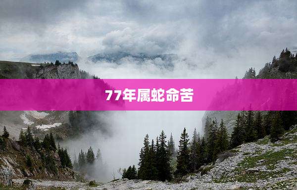 77年属蛇命苦