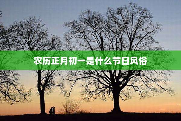 农历正月初一是什么节日风俗