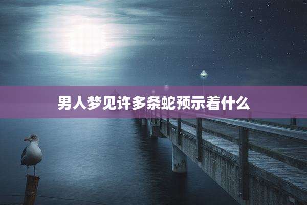 男人梦见许多条蛇预示着什么