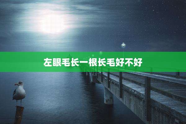 左眼毛长一根长毛好不好