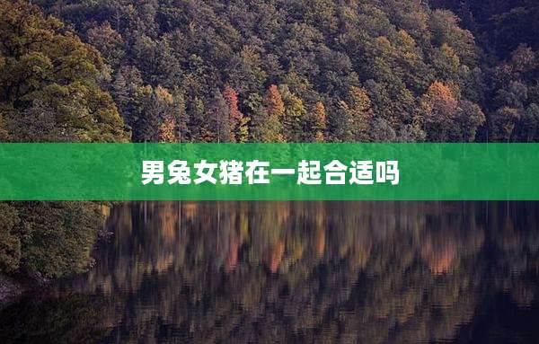 男兔女猪在一起合适吗
