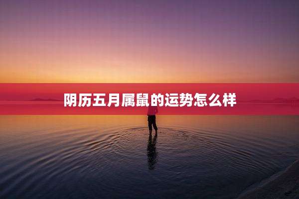 阴历五月属鼠的运势怎么样